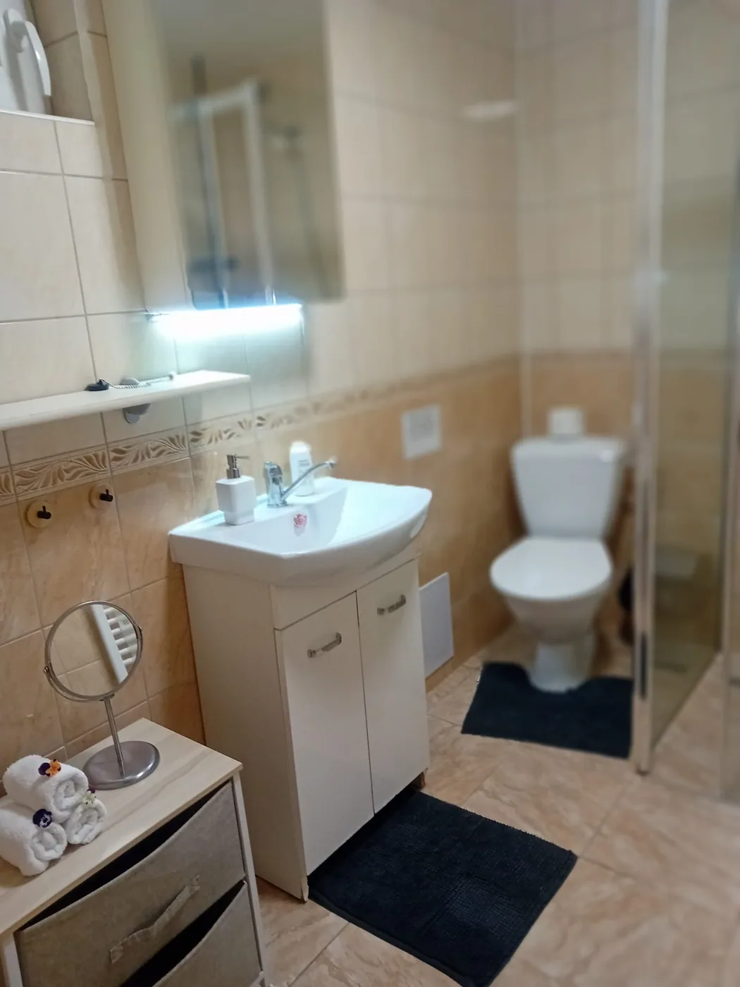 Koupelna se sprchovým koutem a umyvadlem